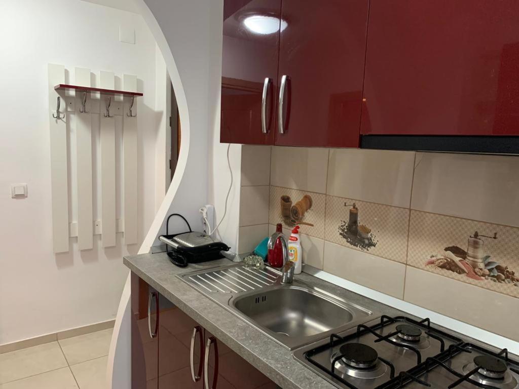 Garsoniera Natalia Apartment Sibiu Bagian luar foto
