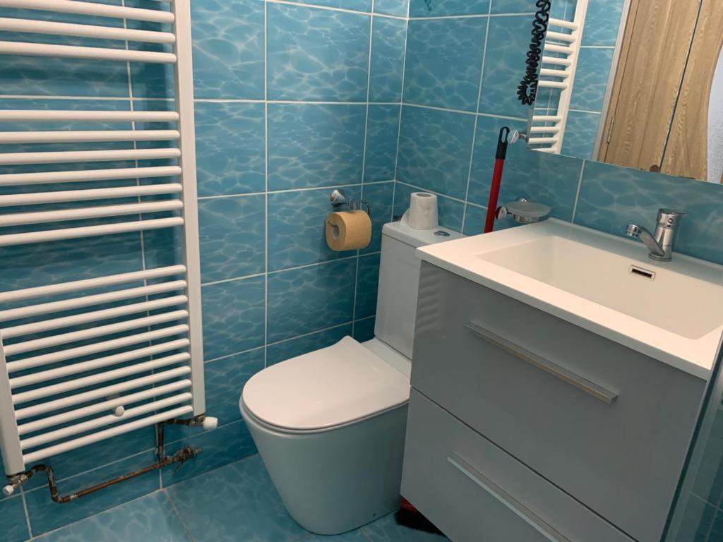 Garsoniera Natalia Apartment Sibiu Bagian luar foto