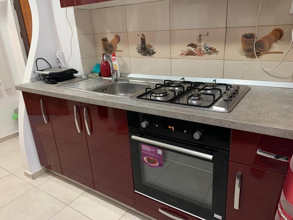 Garsoniera Natalia Apartment Sibiu Bagian luar foto