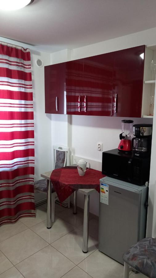 Garsoniera Natalia Apartment Sibiu Bagian luar foto